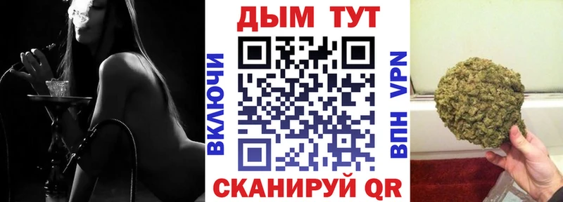Конопля ГИДРОПОН  Купить где  Александров 